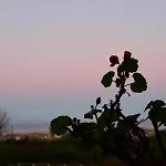 Giardino Arancio