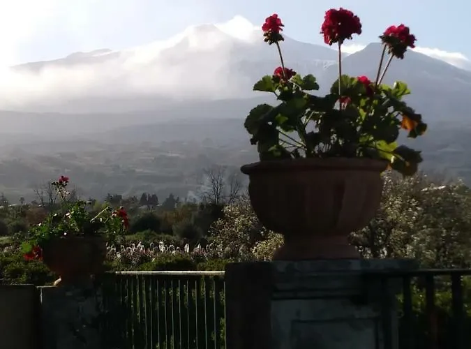 Bed & Breakfast Giardino Arancio 4*