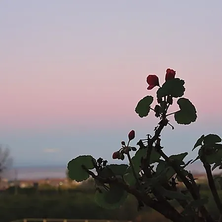 Giardino Arancio Bed & Breakfast