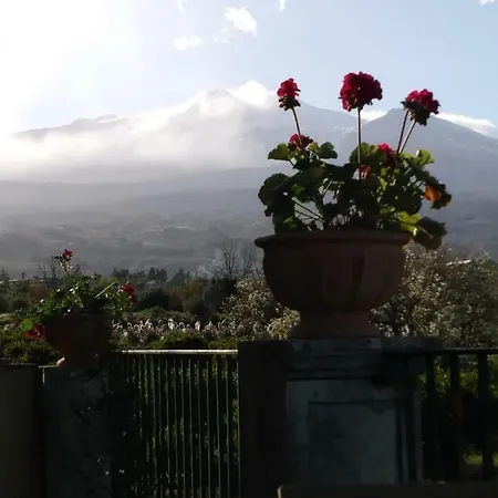 Bed & Breakfast Giardino Arancio 3*