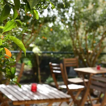 Giardino Arancio לינה וארוחת בוקר 4*
