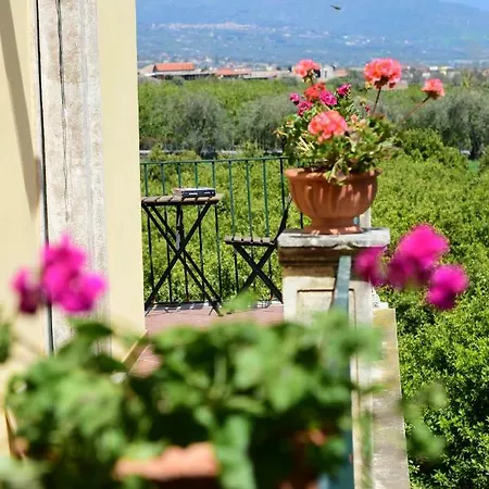 Giardino Arancio Bed & Breakfast 3*