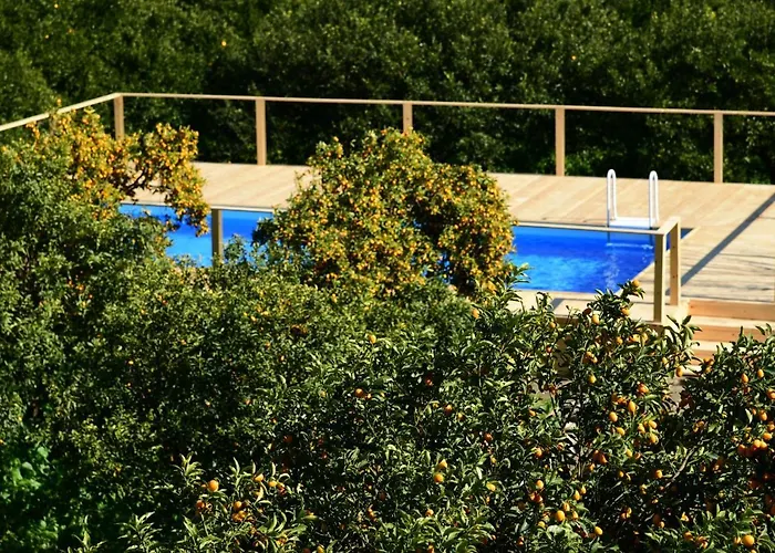 Giardino Arancio Couette-café Giarre